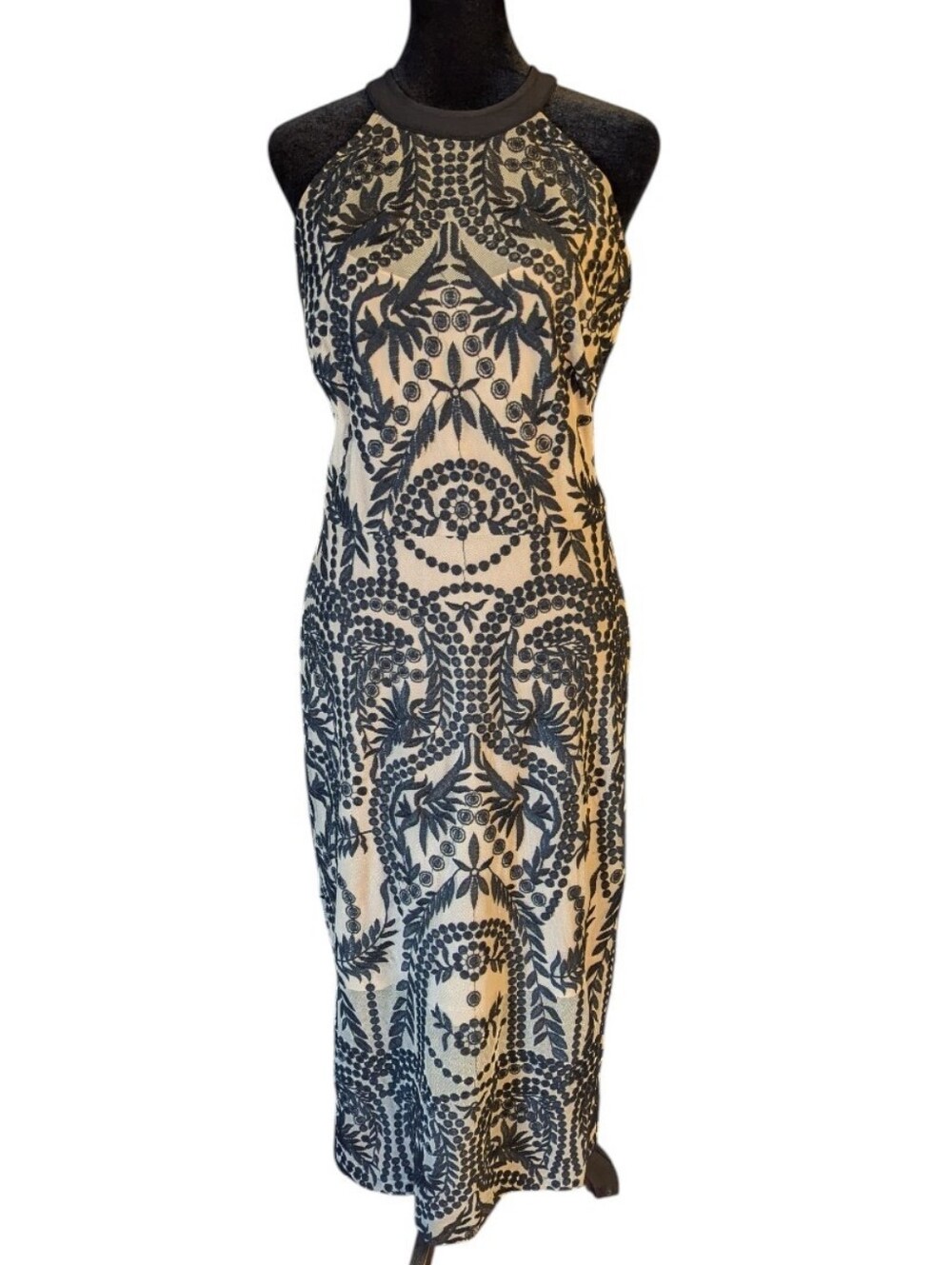ECI New York Embroidered Lace Black And Nude Dress Size 8
